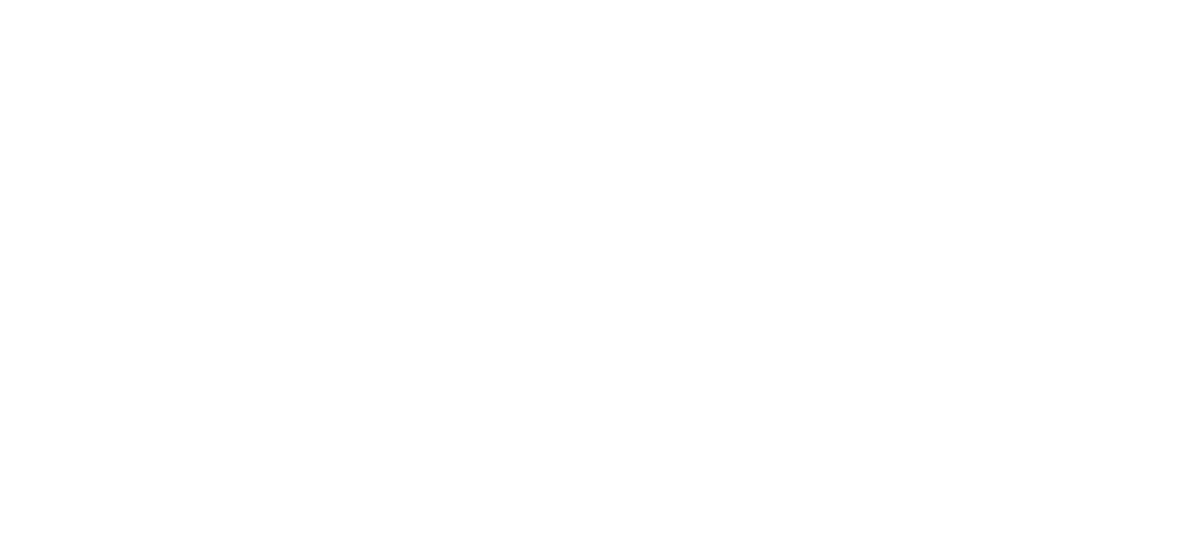 Binnur Demir, Aile Danışmanı